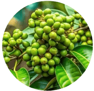 Faithful Fasting Formula Ingredients